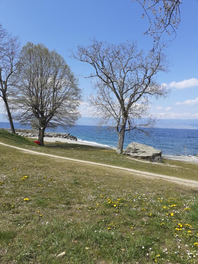 Charmant Appartement A 150 M Des Thermes Et Du Centre Ville Τονόν-λε-Μπαιν Εξωτερικό φωτογραφία